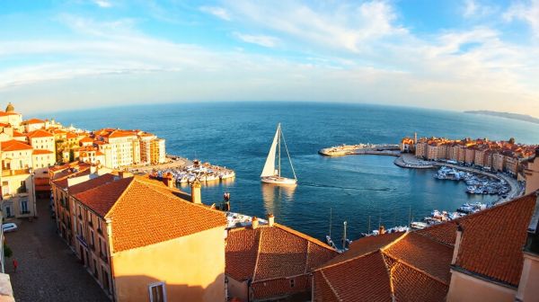 Découvrez les meilleures ressources de développement à Marseille